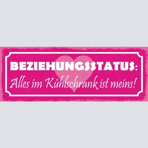 Schild beziehungsstatus alles im kühlschrank ist meins essen 27x10 blech od.holz