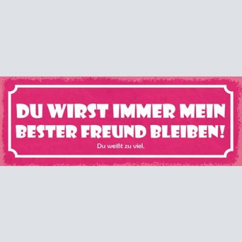 Schild du wirst immer mein bester freund bleiben du weißt zuviel 27x10