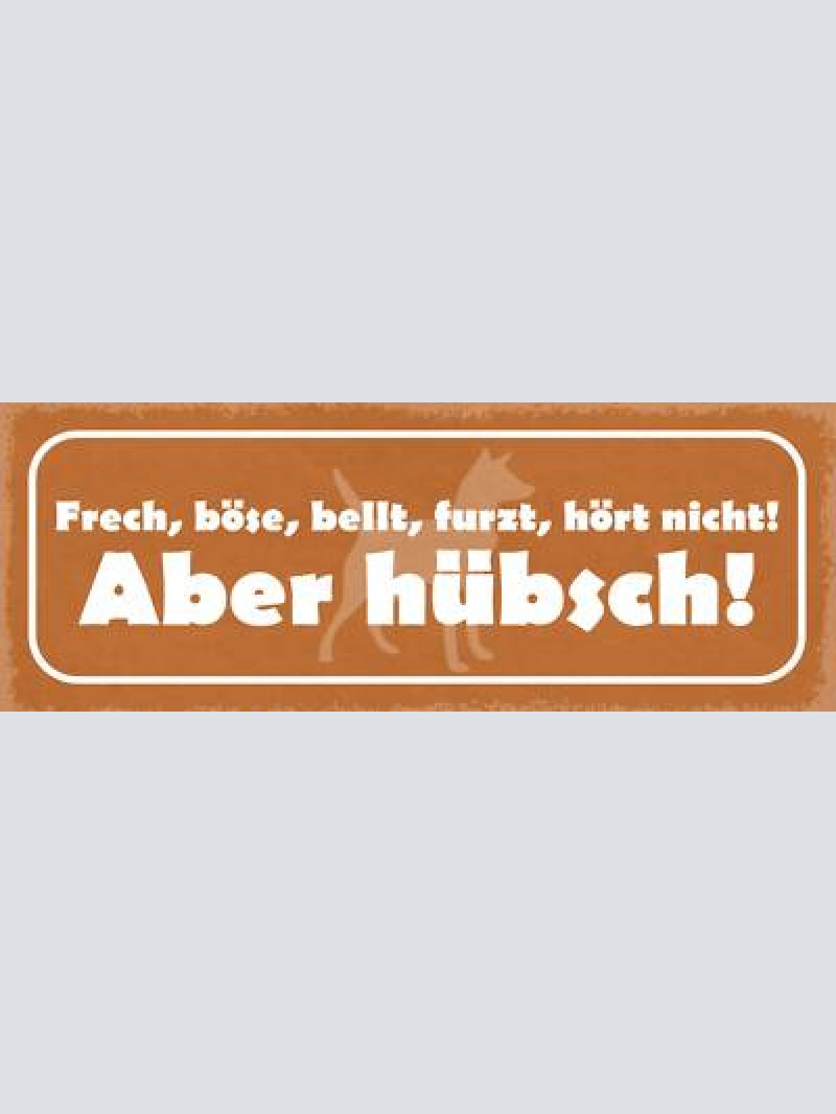 Schild frech böse bellt furzt hört nicht aber hübsch hund 27x10 blech od.holz