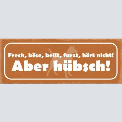 Schild frech böse bellt furzt hört nicht aber hübsch hund 27x10 blech od.holz