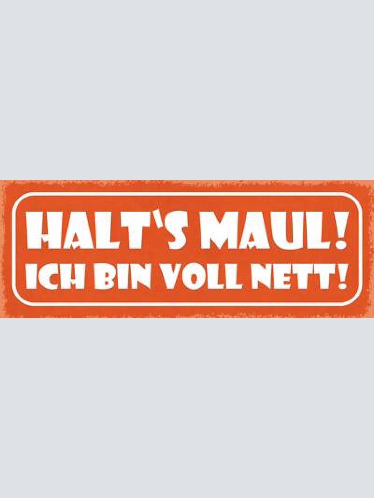 Schild halt's maul ich bin voll nett klappe halten ruhe 27x10 blech od.holz