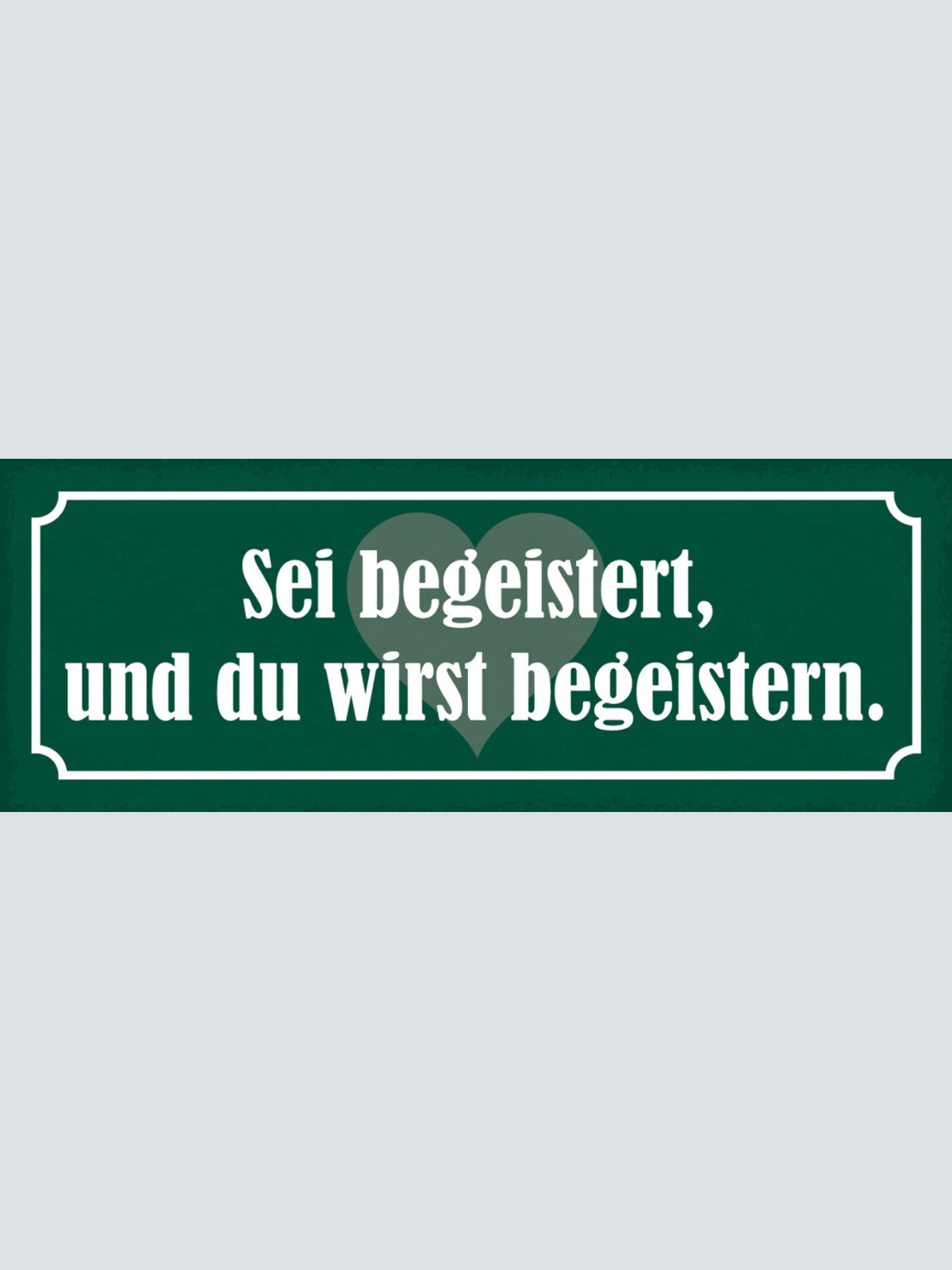 Schild Sei Begeistert & Du Wirst Begeistern Ausstrahlung 27x10 Blech od.Holz