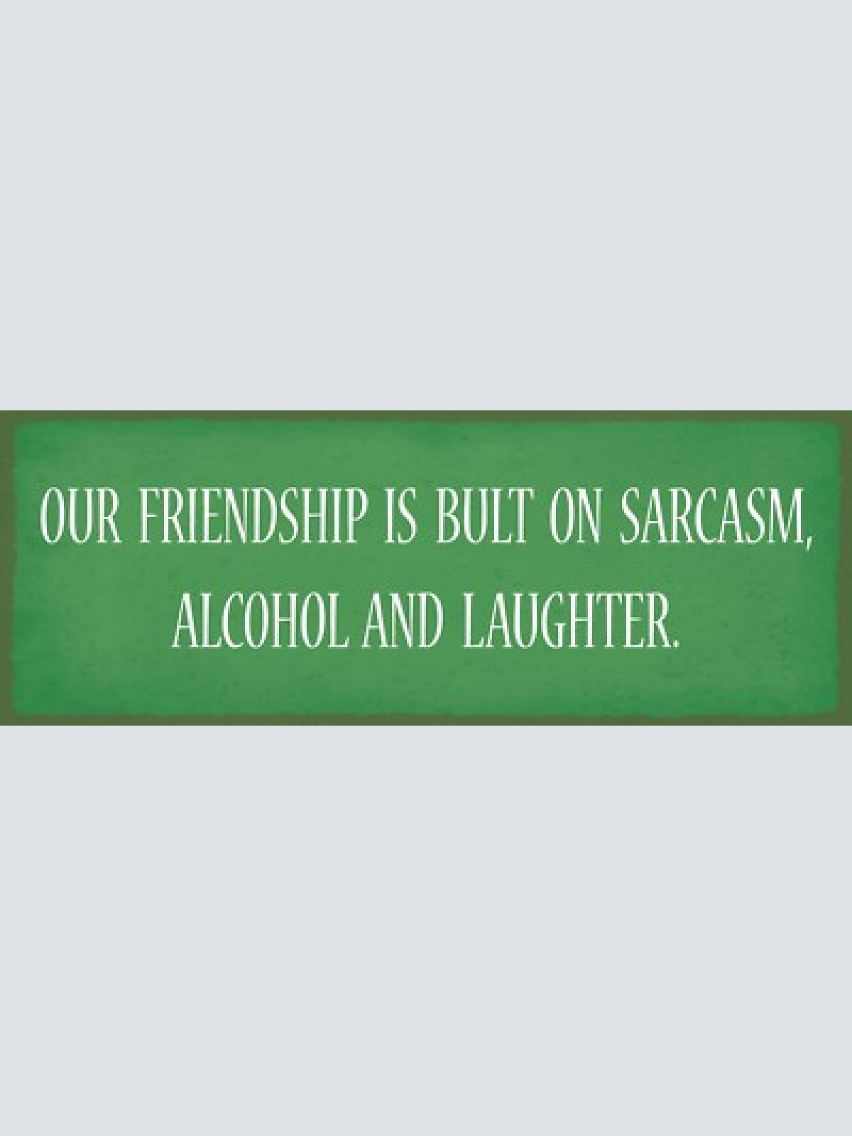 Schild our friendship is built on sarcasm alcohol & laughter 27x10 blech od.holz