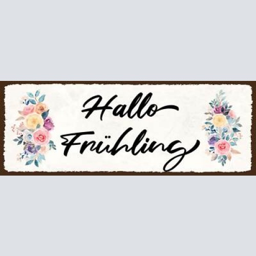 Schild hallo frühling lenz frühjahr jahreszeit saison 27x10 blech od.holz