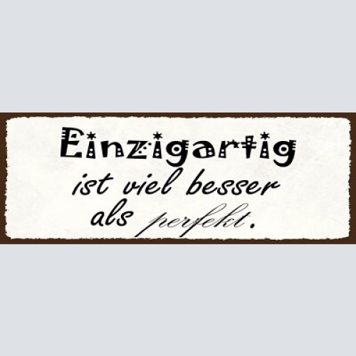 Schild einzigartig ist viel besser als perfekt einmalig 27x10 blech od.holz