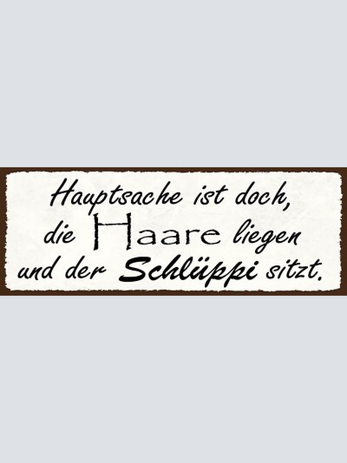 Schild hauptsache ist doch die haare liegen & der schlüppi sitzt schlüpfer 27x10