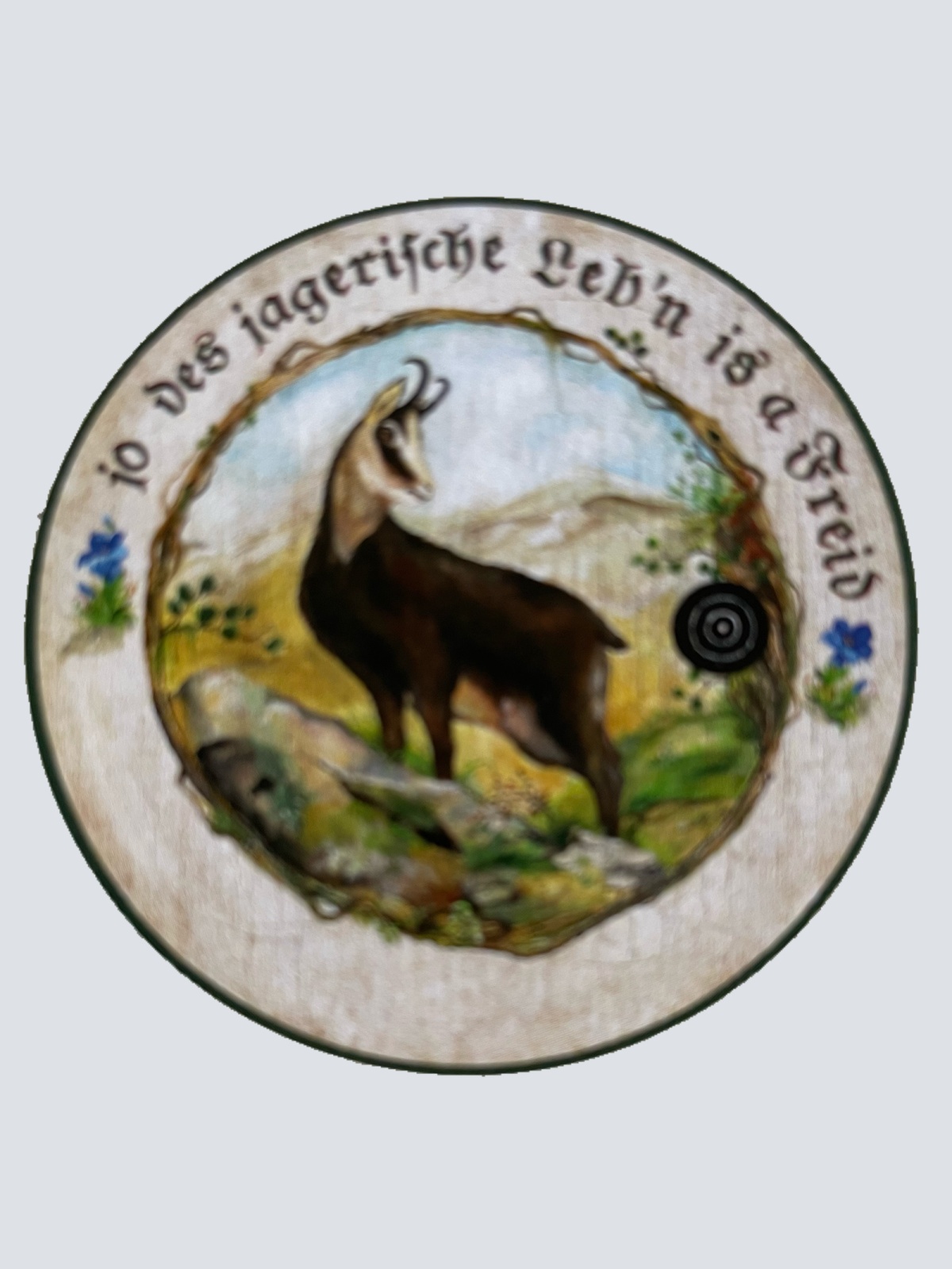 Nostalgie Holzschild Schützenscheibe Jo Des Jagerische Leb'n Is A Freid Schild