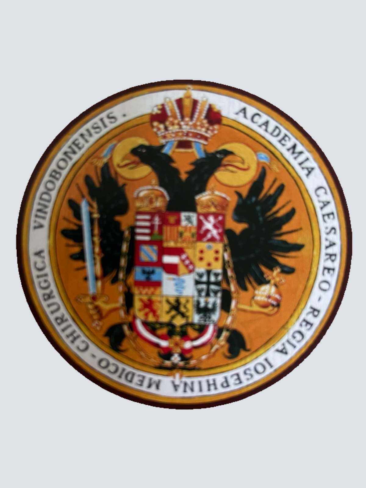 Nostalgie Holzschild Schützenscheibe Academia Caesareo Wappen Schild