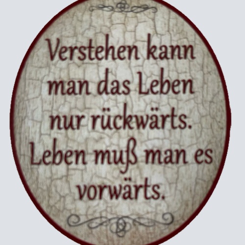 Nostalgie Holzschild Verstehen Kann Man Das Leben Nur Rückwärts Schild