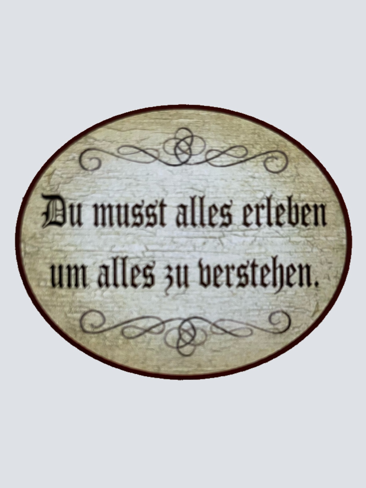 Nostalgie Holzschild Du Musst Alles Erleben Um Alles Zu Verstehen Schild