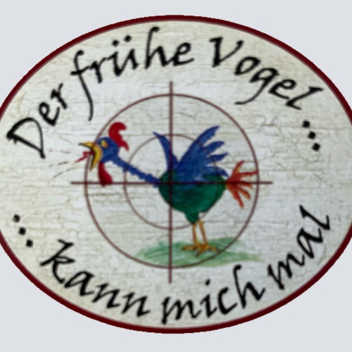 Nostalgie Holzschild Der Frühe Vogel Kann Mich Mal Morgen Früh Aufstehen Schild