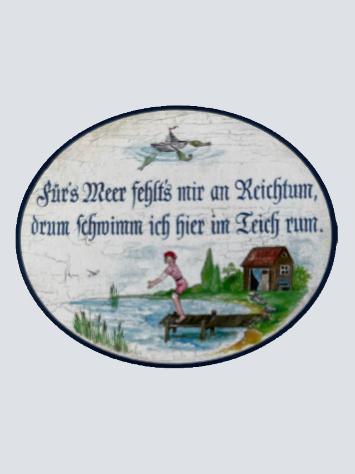 Nostalgie Holzschild Für's Meer Fehlt's Mir An Reichtum Schwimm Im Teich Schild