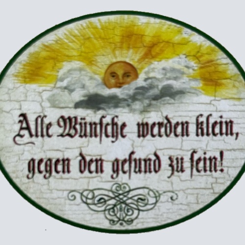 Nostalgie Holzschild Alle Wünsche Werden Klein Gegen Den Gesund Zu Sein Schild