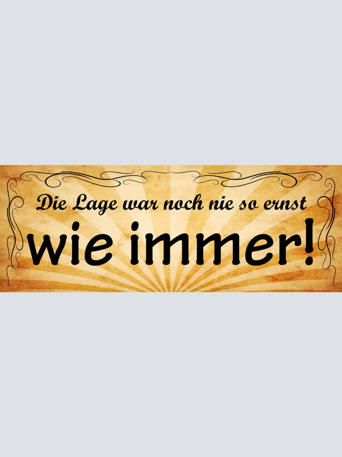 Schild Die Lage War Noch Nie So Ernst Wie Immer Zeit Leben 27x10 Blech od.Holz