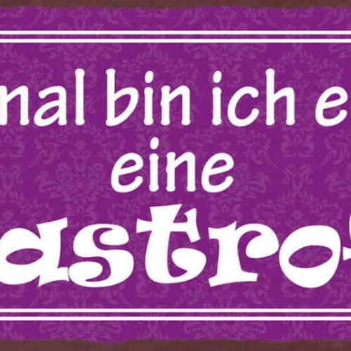 Schild Manchmal Bin Ich Eine Fee Eine Katastrofee Katastrophe 27x10Blech od.Holz