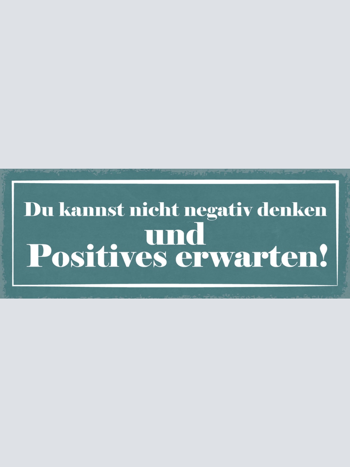 Schild Du Kannst Nicht Negativ Denken & Positives Erwarten 27x10 Blech od.Holz