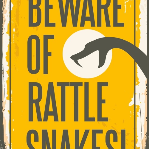 Nostalgie Schild Beware Rattlesnake Schlange 12x18 / 20x30 / 30x40 Blech od.Holz
