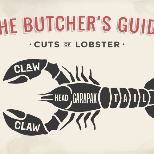 Nostalgie Schild Cuts of Lobster Hummer Dgr. 12x18 / 20x30 / 30x40 Blech od.Holz