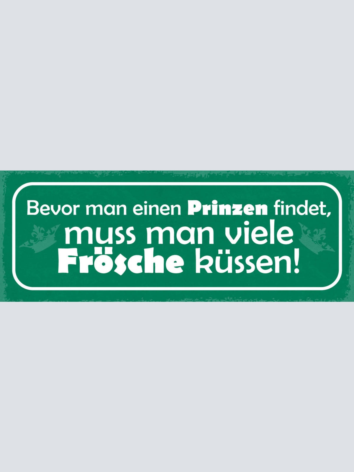 Schild Bevor Man Einen Prinzen Findet Muss Man Viele Frösche Küssen Liebe 27x10