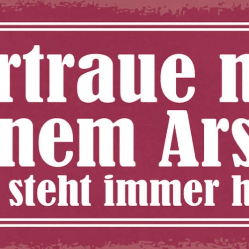 Schild Vertraue Nur Deinem Arsch Denn Der Steht Immer Hinter Dir Hintern 27x10