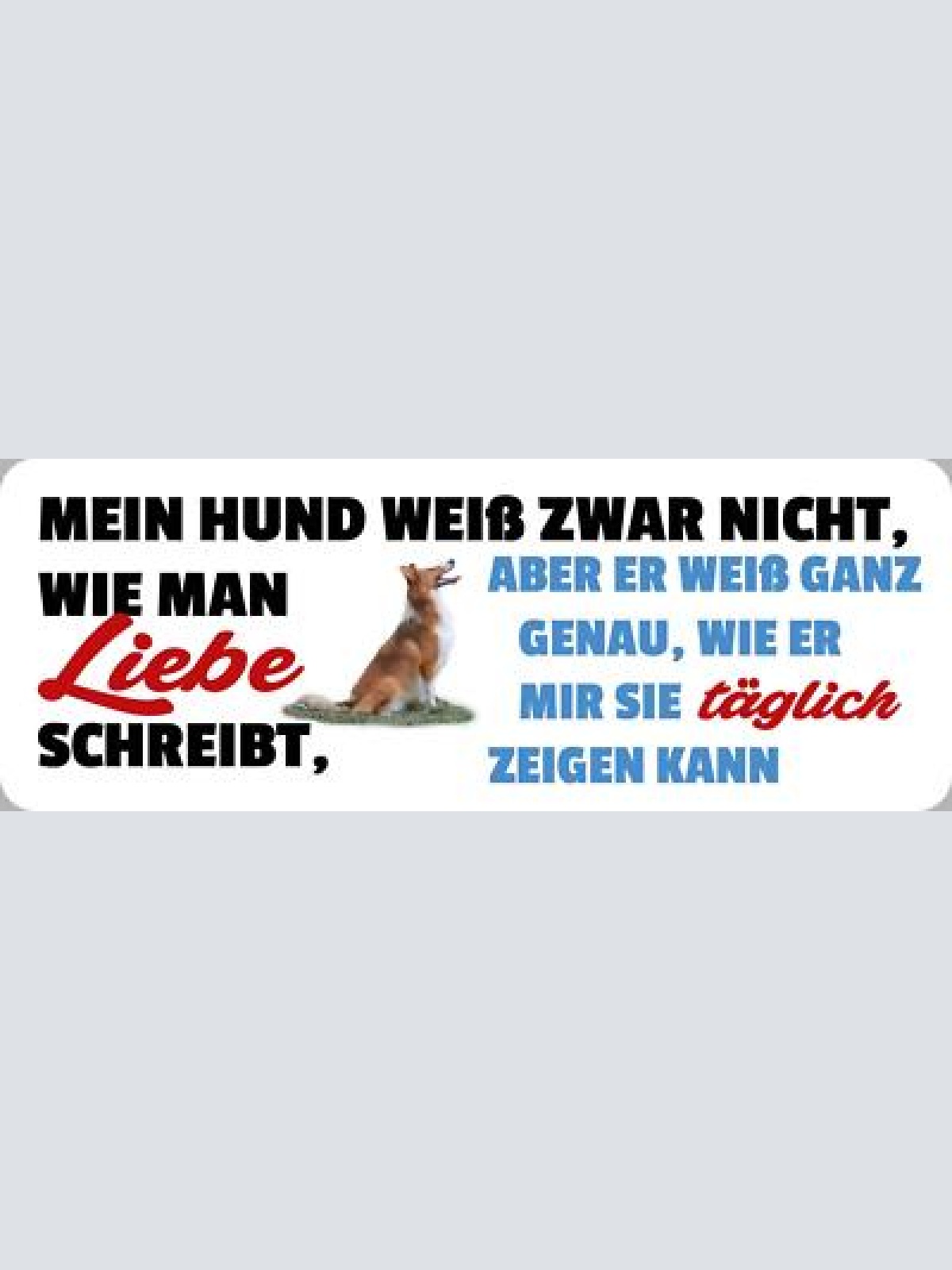 Schild mein hund weiß zwar nicht wie man liebe schreibt mir täglich zeigen 27x10