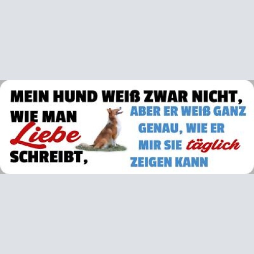 Schild mein hund weiß zwar nicht wie man liebe schreibt mir täglich zeigen 27x10