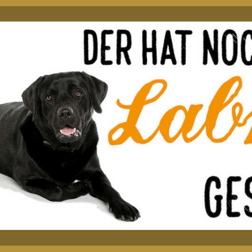 Schild Wer Sagt Glück Kann Man Nicht Anfassen Labrador Gestreichelt Hund 27x10