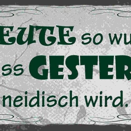 Schild Mach Heute So Wunderbar Dass Gestern Neidisch Wird 27x10 Blech od.Holz
