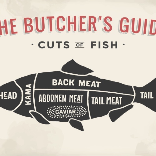 Nostalgie Schild Cuts of Fish Fisch Diagr. 12x18 / 20x30 / 30x40 Blech od. Holz