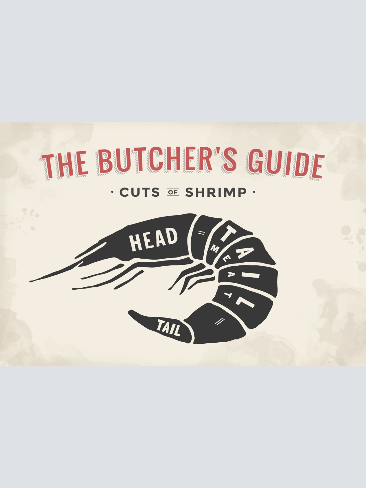 Nostalgie Schild Cuts of Shrimp Garnele Dgr. 12x18 / 20x30 / 30x40 Blech od.Holz