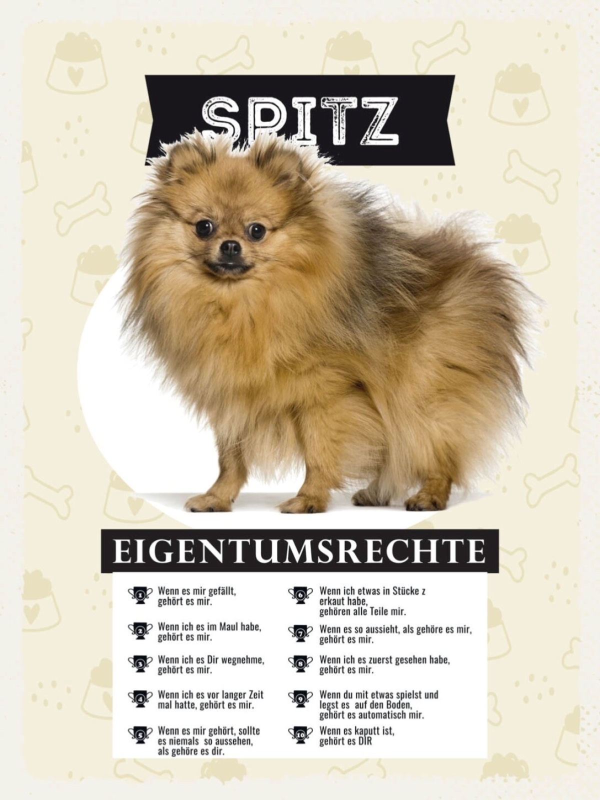 Schild Spitz Eigentumsrechte Hund Tier Liebe 12x18 20x30 30x40 Blech/Holz