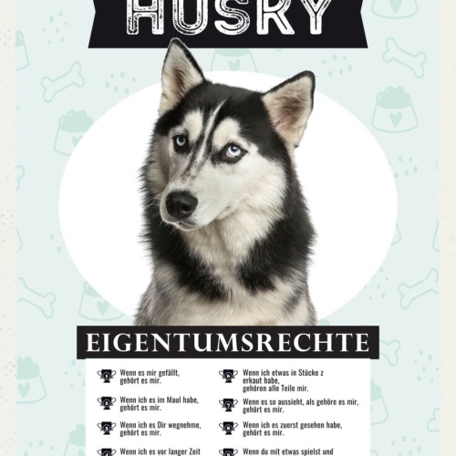 Schild Husky Eigentumsrechte Hund Tier Liebe 12x18 20x30 30x40 Blech/Holz