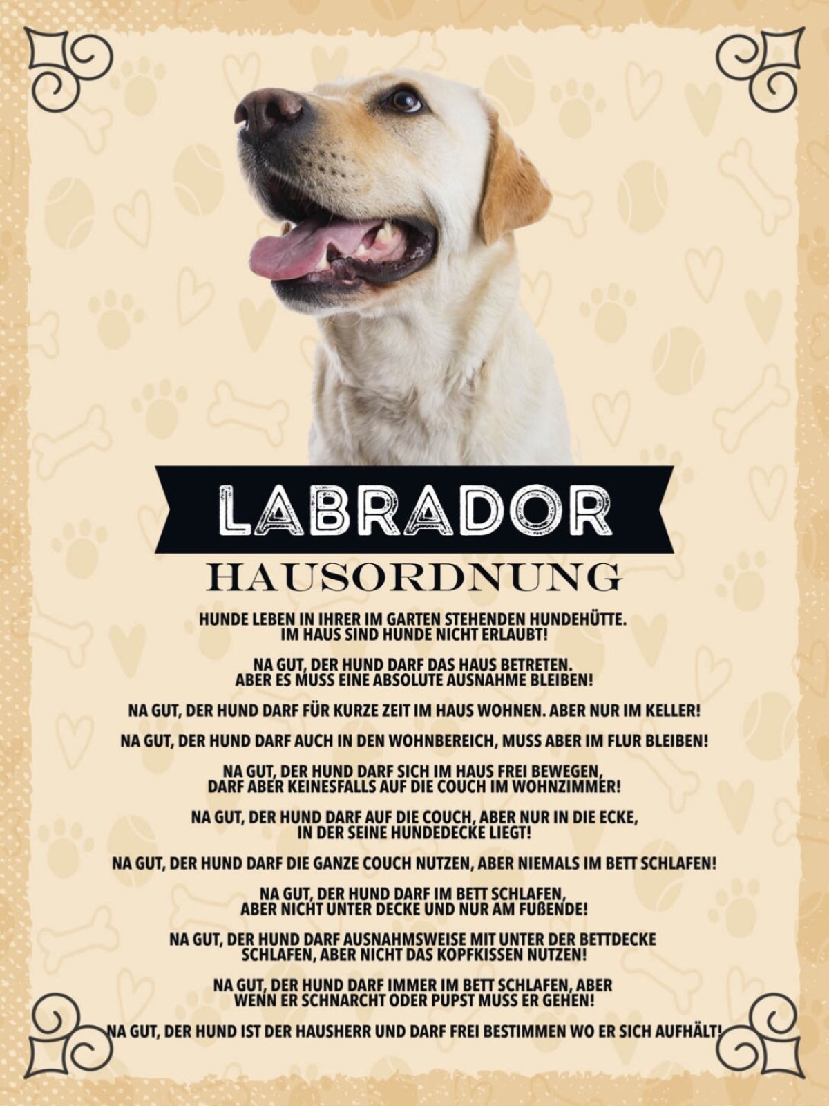 Schild Labrador Hausordnung Hund Tier Liebe 12x18 20x30 30x40 Blech/Holz