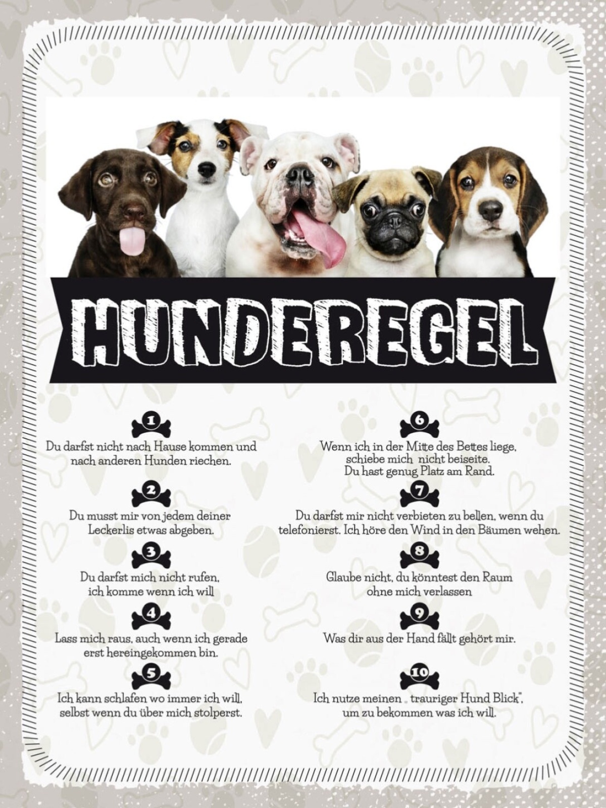 Schild Hunderegel Hund Haus Tier Liebe Zuhause 12x18 20x30 30x40 Blech/Holz