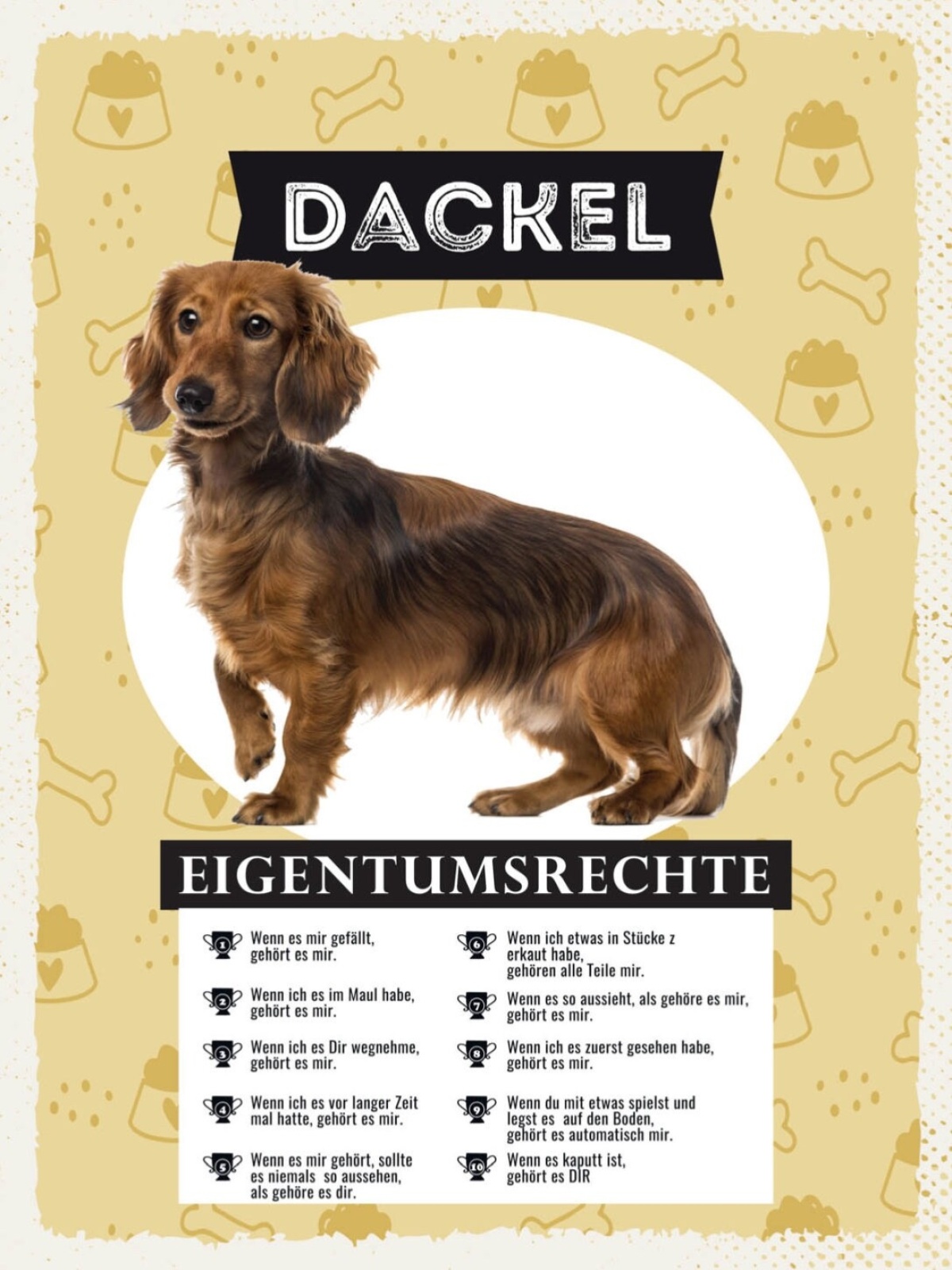 Schild Dackel Eigentumsrechte Hund Tier Liebe 12x18 20x30 30x40 Blech/Holz