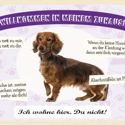 Schild Willkommen In Meinem Zuhause Dackel Hund 12x18 20x30 30x40 Blech/Holz