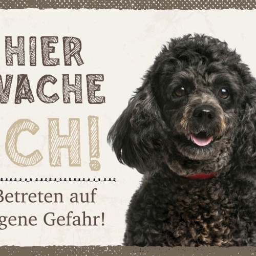 Schild Hier Wache Ich Pudel Gefahr Hund Haus Tier 12x18 20x30 30x40 Blech/Holz