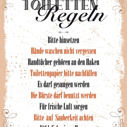 Schild Toiletten Regeln WC Klo Hinsetzen Zu Hause 12x18 20x30 30x40 Blech/Holz