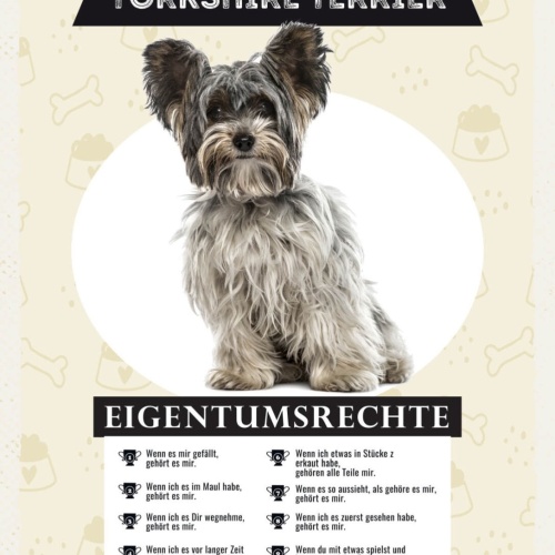 Schild Yorkshire Terrier Eigentumsrechte Hund Tier 12x18 20x30 30x40 Blech/Holz