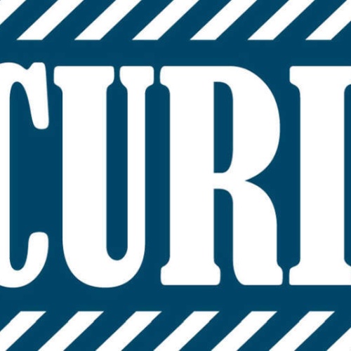 Schild Security Sicherheitsdienst Ordner Kontrolle 27 x 10 Blech od. Holz