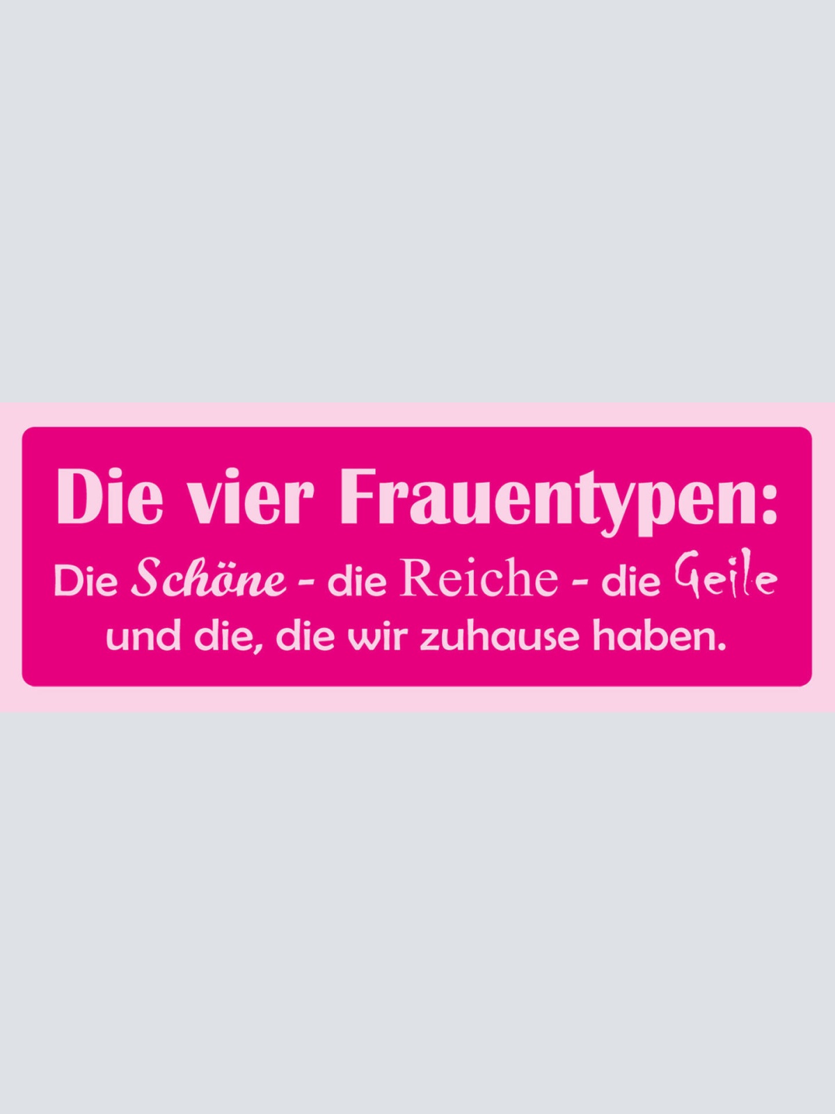 Schild Die 4 Frauen Typen Schöne Reiche Geile & Die Wir Zugause Haben  27 x 10