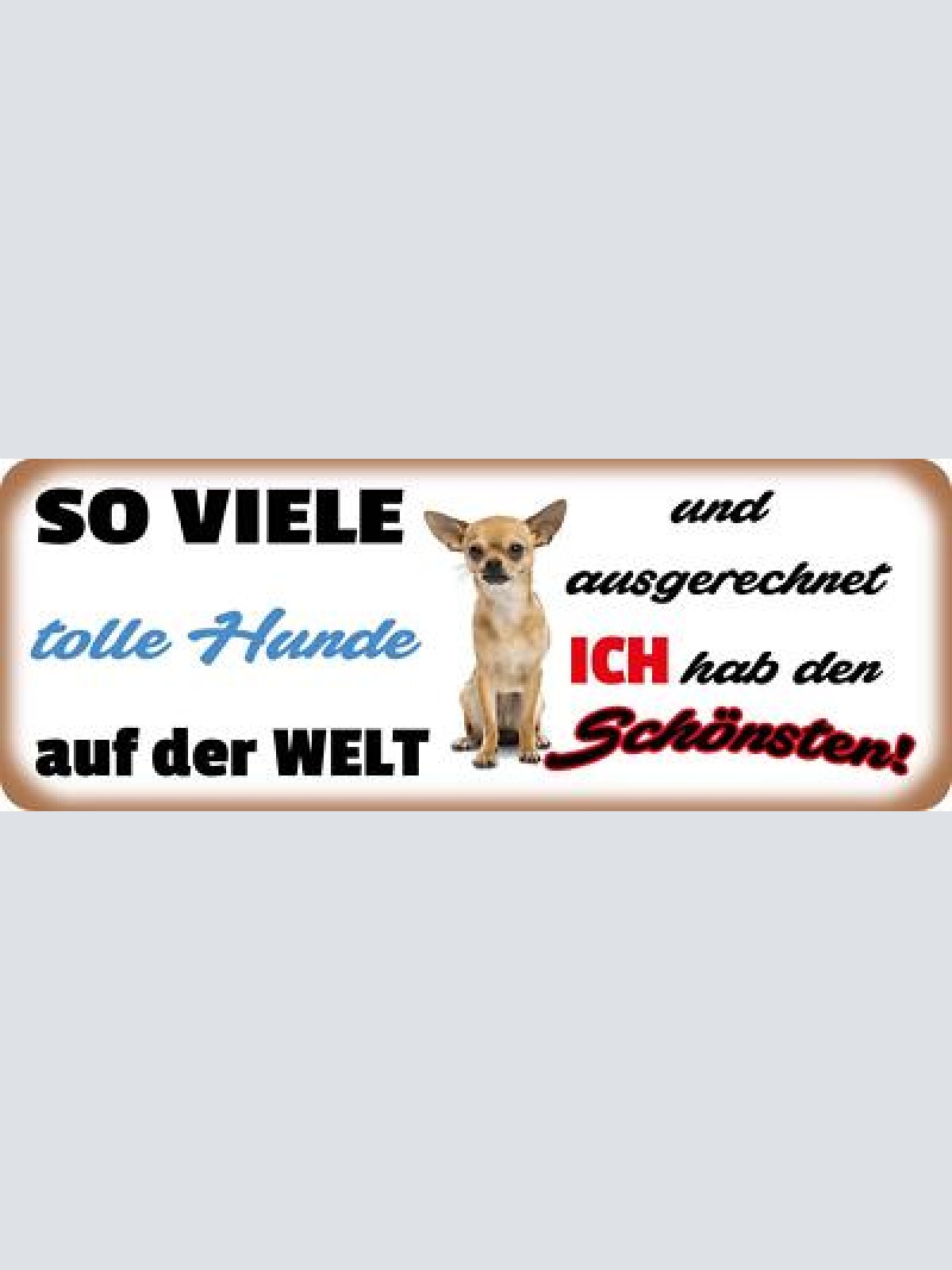 Schild so viele tolle hunde auf der welt & ausgerechnet ich hab den schönsten