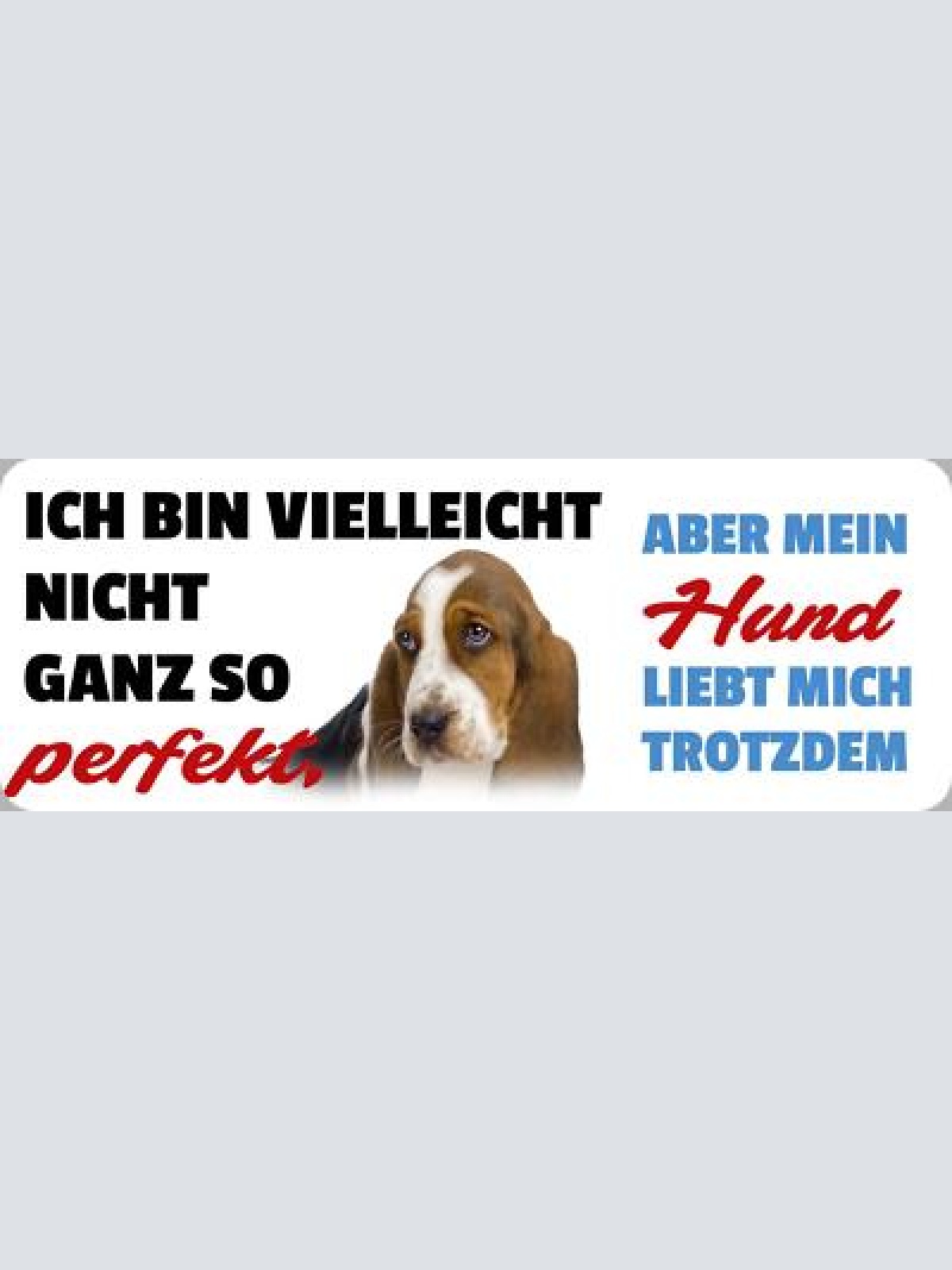 Schild ich bin vielleicht nicht so perfekt aber mein hund liebt mich 27 x 10