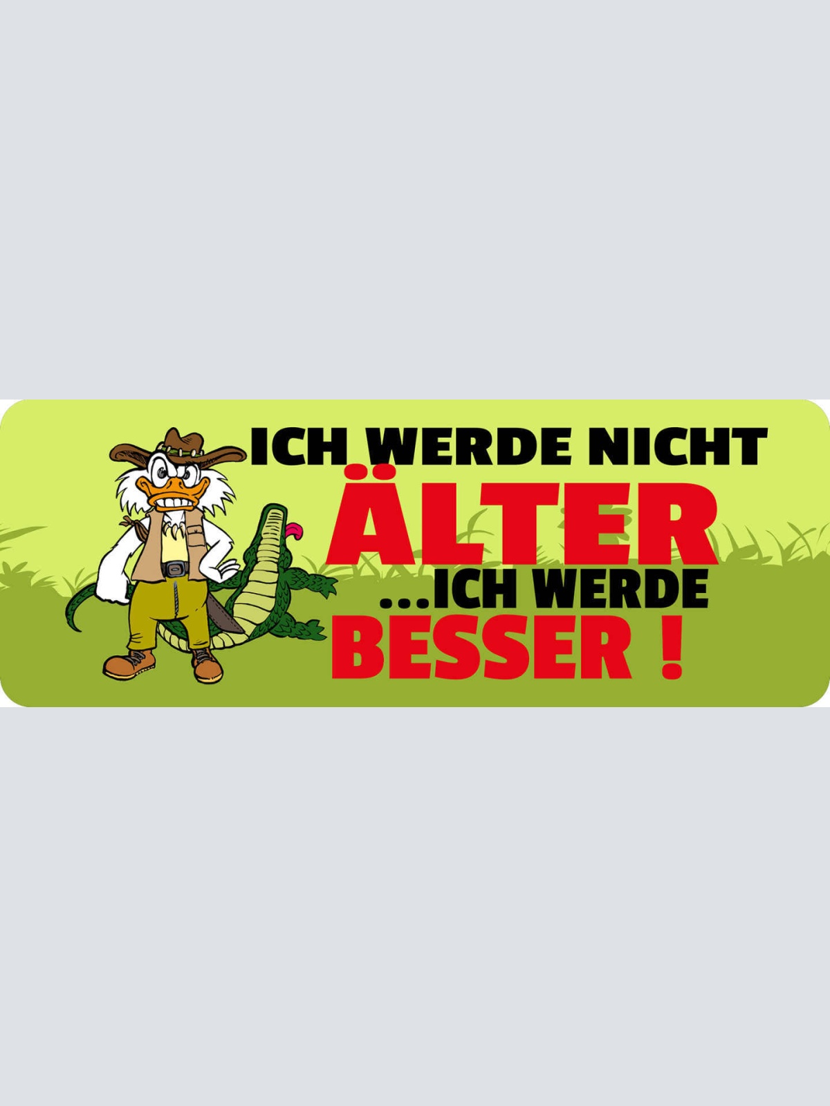 Schild Ich Werde Nicht Älter Ich Werde Besser Alt Alter 27 x 10 Blech od. Holz