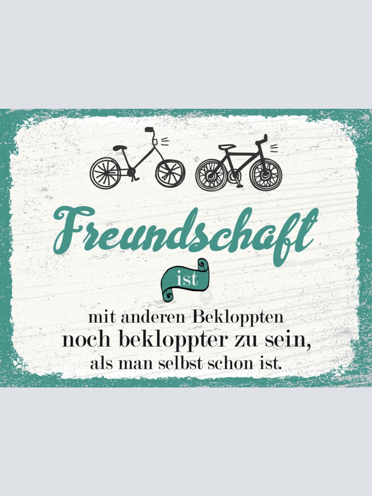 Schild Freundschaft Mit Anderen Bekloppten Bekloppt 12x18 20x30 30x40 Blech/Holz