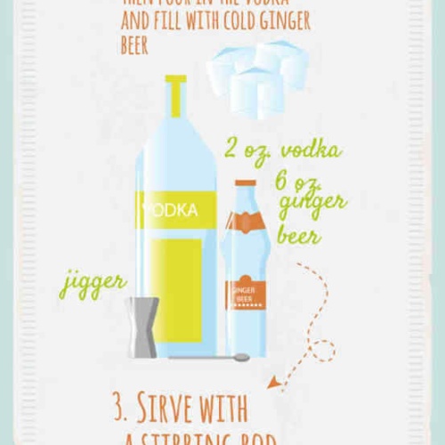 Schild Moscow Mule Cocktail Rezept Bar Alkohol Drink Wodka 27x10 Blech od.Holz