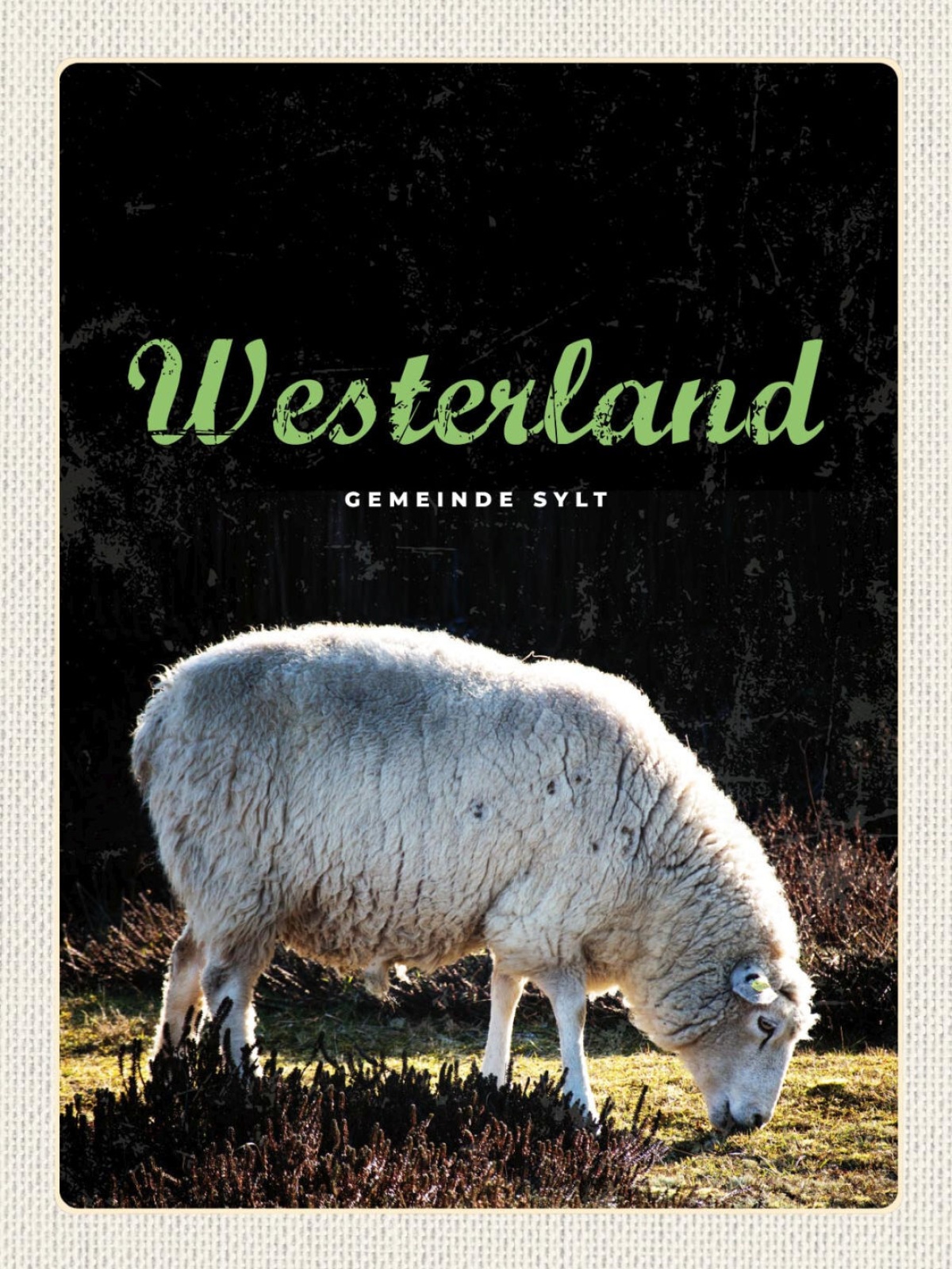 Schild Westerland Gemeinde Sylt Schaf Gras Weide D 12x18 20x30 30x40 Blech/Holz