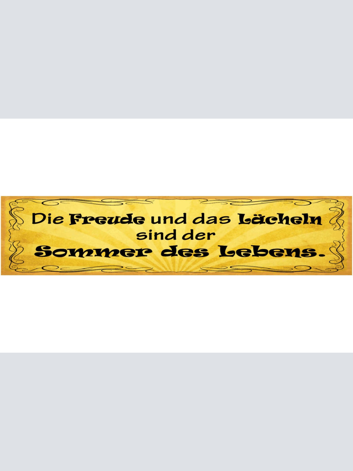 Schild Die Freude Und Das Lächeln Sind Der Sommer Des Lebens 46x10 Blech od.Holz