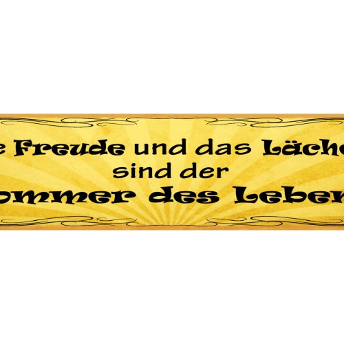 Schild Die Freude Und Das Lächeln Sind Der Sommer Des Lebens 46x10 Blech od.Holz