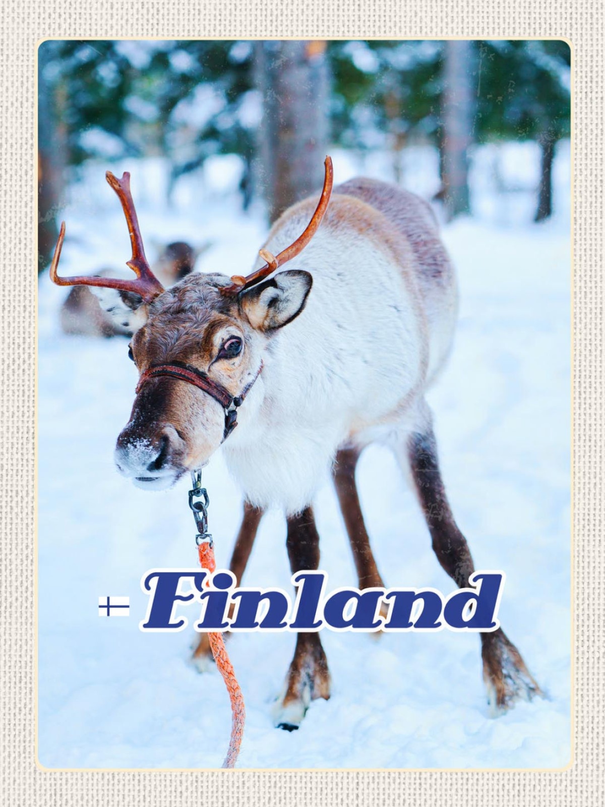 Schild Finland Finnland Rentier Schnee Wald Winter 12x18 20x30 30x40 Blech/Holz